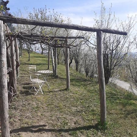 Casa Nebieu In Edificio Indipendente Nel Centro Di Monforte モンフォルテ・ダルバ エクステリア 写真